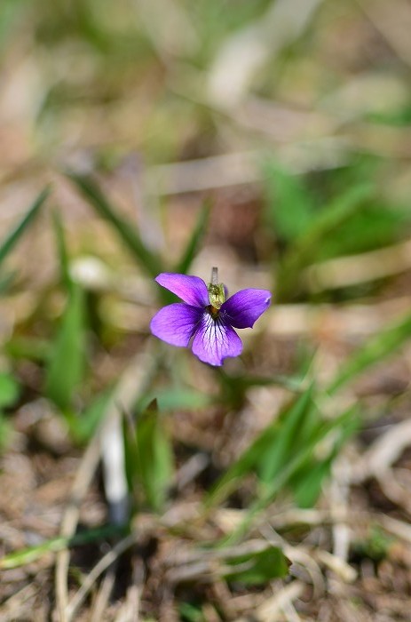 b0236334_23254949.jpg
