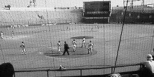 d0164636_8593933.jpg