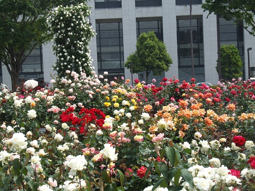 b0089338_23392393.jpg
