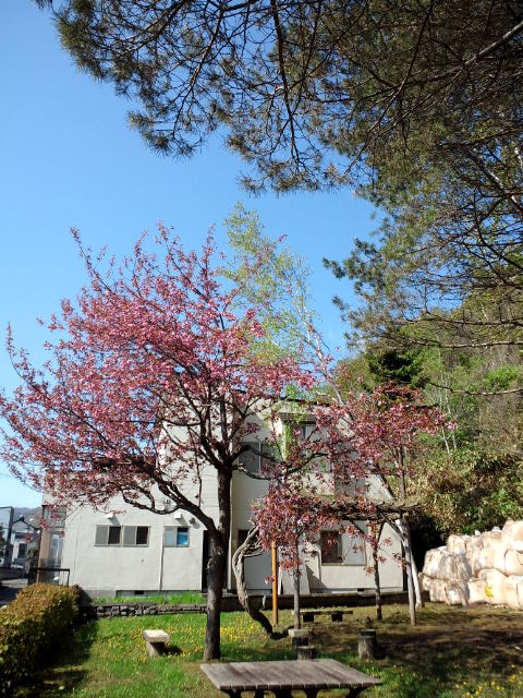 c0117239_8535148.jpg