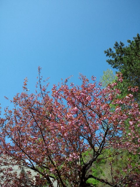 c0117239_8545178.jpg