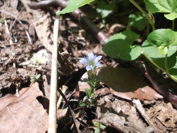 c0233141_15834100.jpg