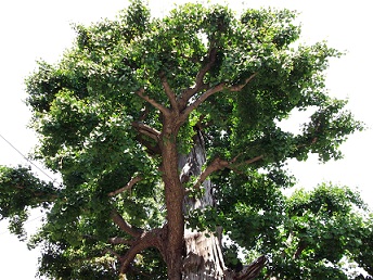 e0248844_22242260.jpg