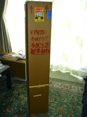 a0072247_15444879.jpg