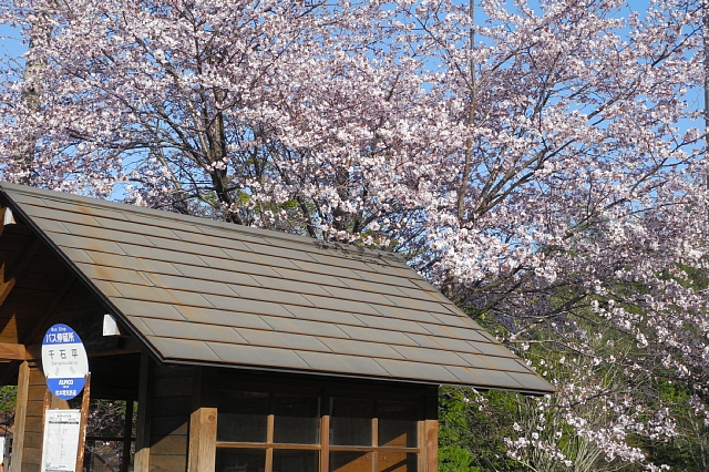 b0122448_961199.jpg