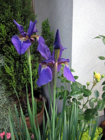 c0147952_0125170.jpg