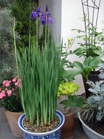 c0147952_013510.jpg