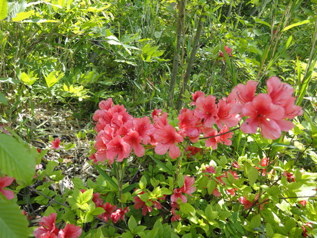 b0210754_18465468.jpg