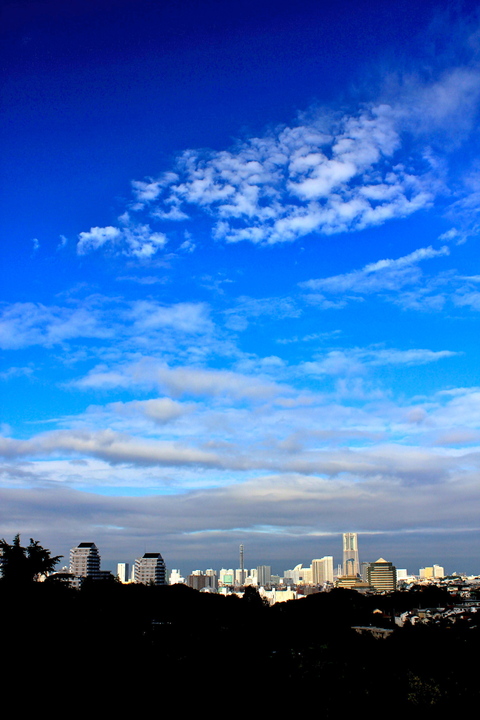 a0248459_12191835.jpg