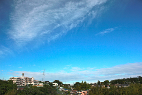 a0248459_46217.jpg