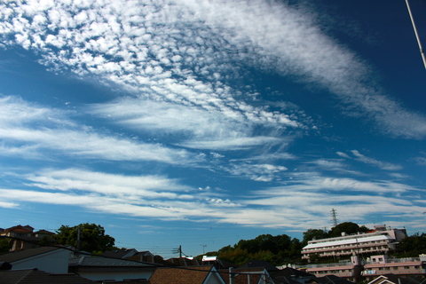 a0248459_463652.jpg