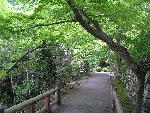 b0145863_043988.jpg