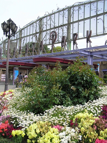 b0145863_16531318.jpg