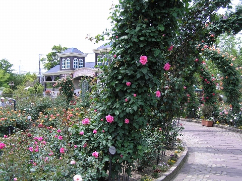 b0145863_16541029.jpg