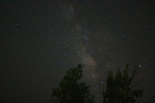 a0246566_9103723.jpg