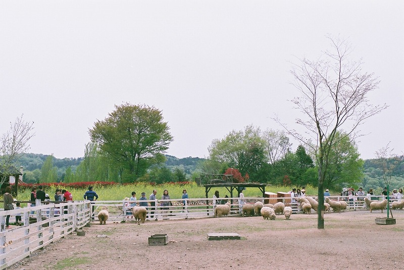 f0234172_17271232.jpg