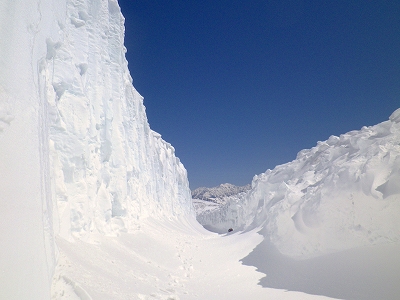 f0182173_199765.jpg