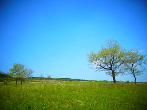 f0196374_7325978.jpg