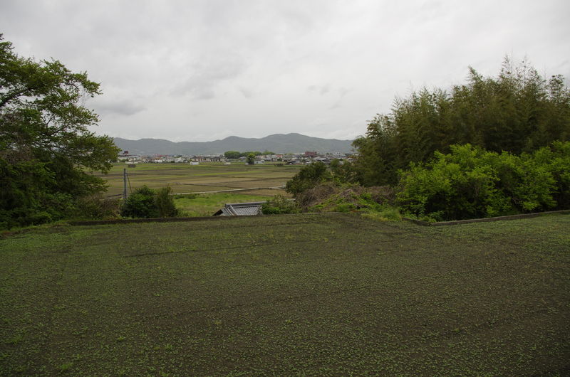 c0177576_1575186.jpg