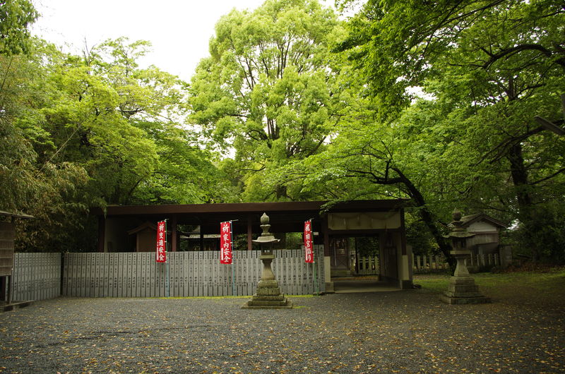 c0177576_215834.jpg