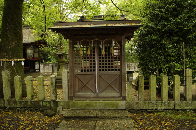 c0177576_2163540.jpg