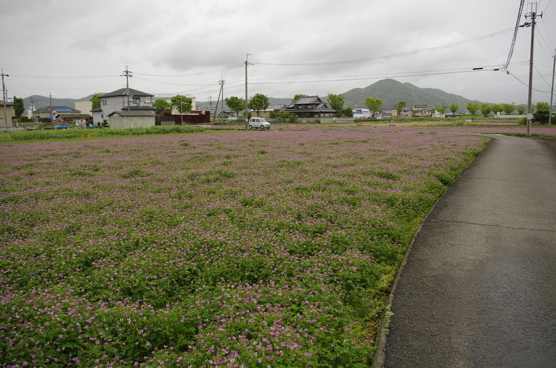 c0177576_224615.jpg