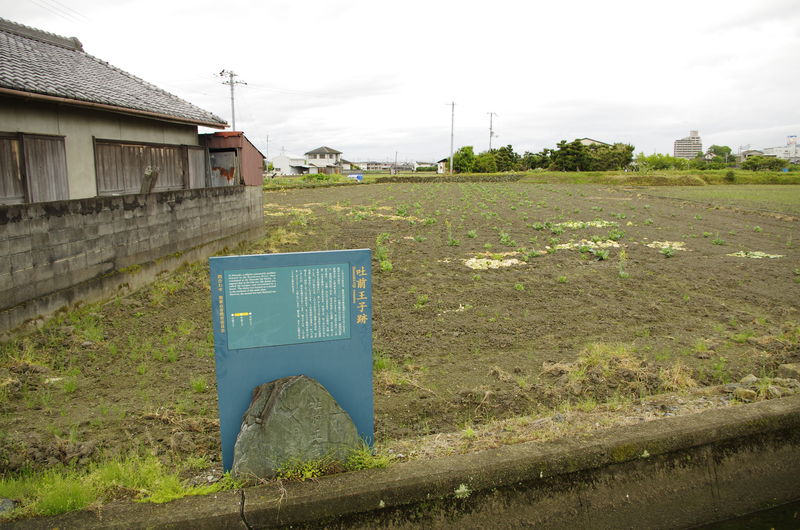 c0177576_315521.jpg