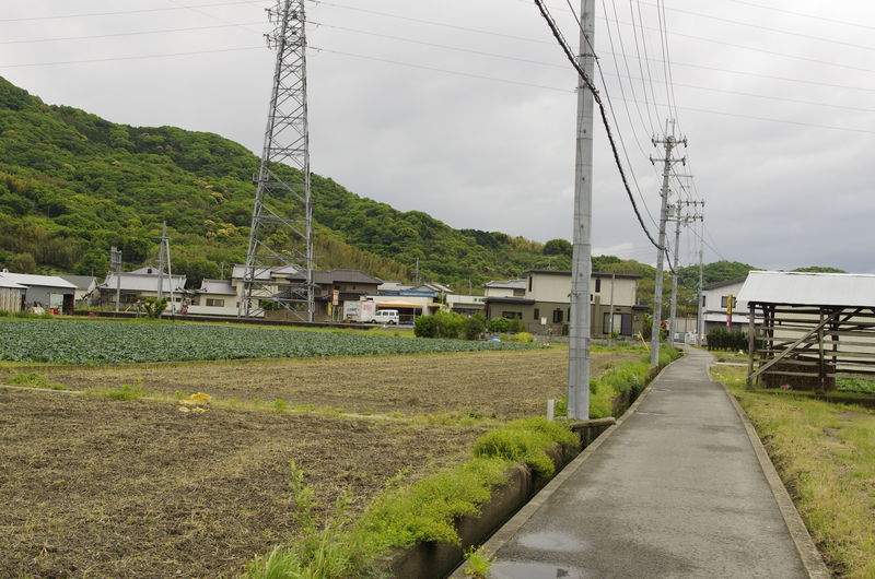 c0177576_3431835.jpg