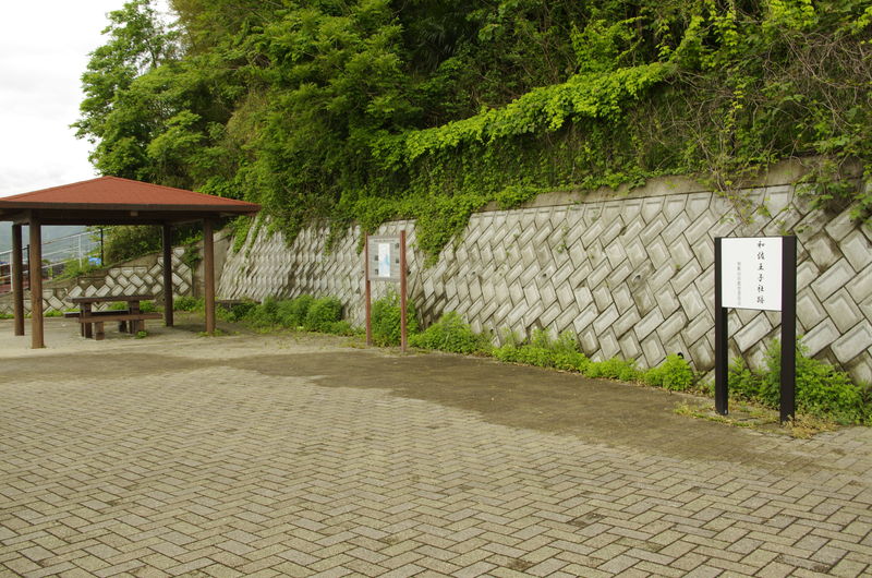 c0177576_3591272.jpg