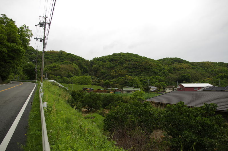 c0177576_405614.jpg