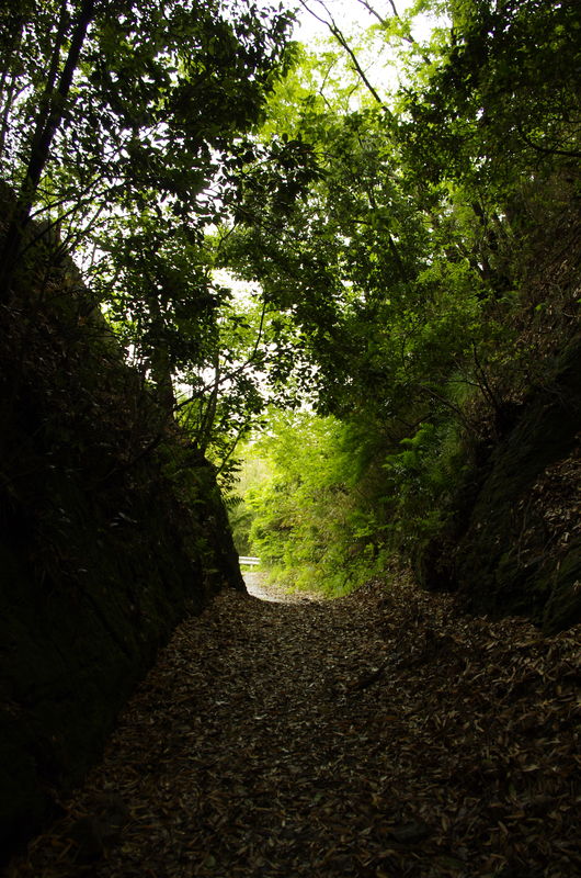 c0177576_4205943.jpg