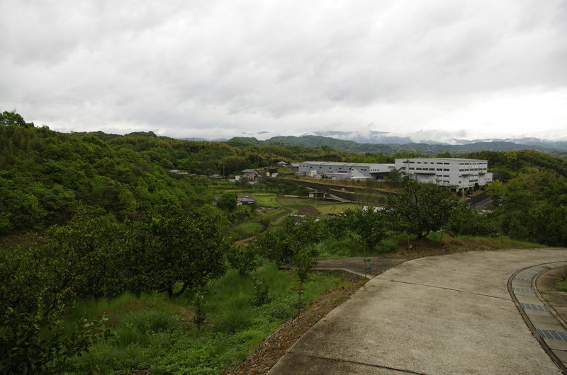 c0177576_4233756.jpg