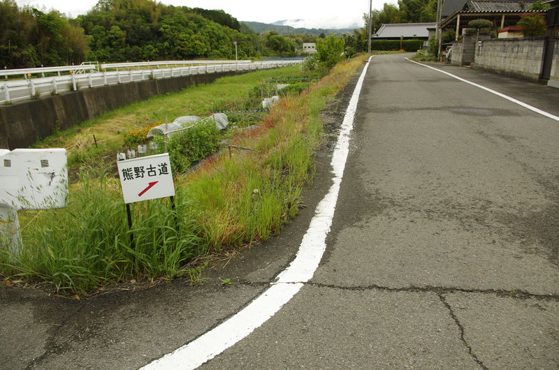 c0177576_4324295.jpg