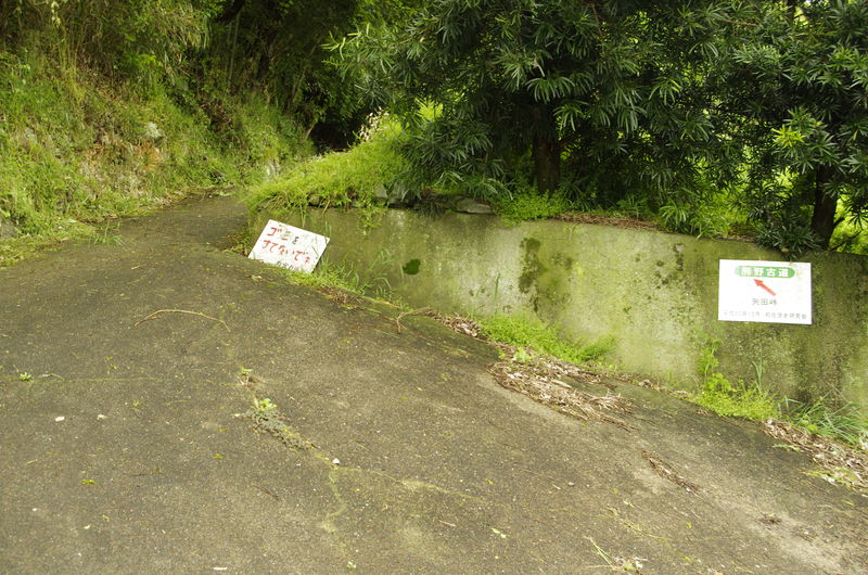 c0177576_45223.jpg