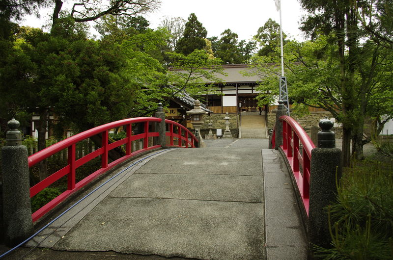 c0177576_512281.jpg