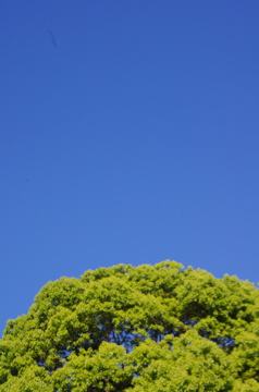 f0054677_7314072.jpg