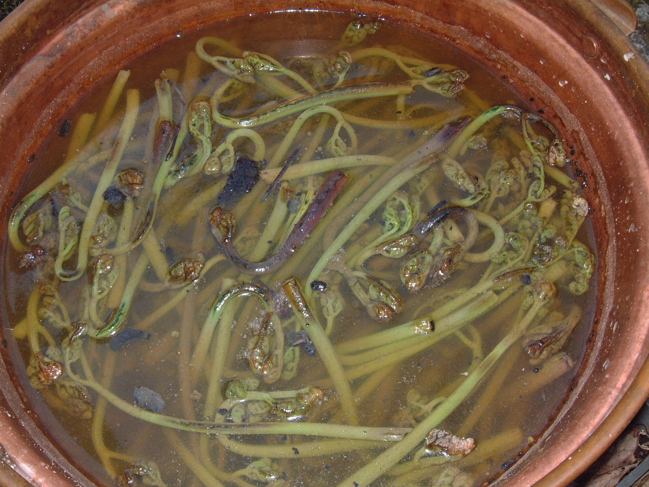 c0237780_2117260.jpg