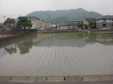 f0112080_22272896.jpg