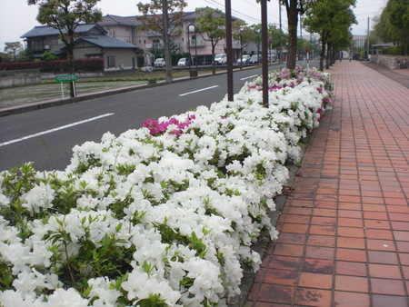 f0112080_22291944.jpg