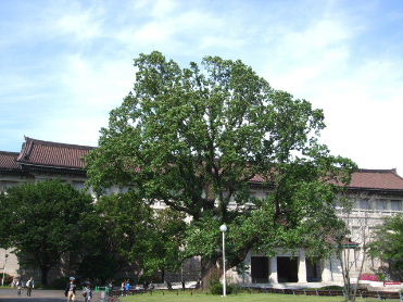 f0039281_162174.jpg