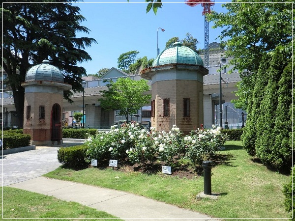 e0143690_19565082.jpg