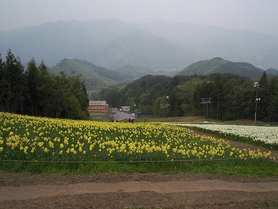 e0152990_22511.jpg