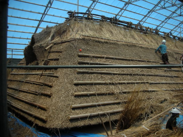 b0147093_14413216.jpg