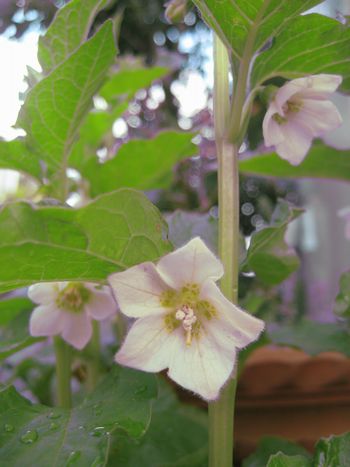 f0201297_23503229.jpg