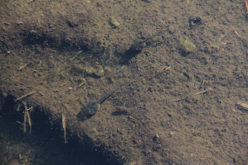 a0188405_7323462.jpg