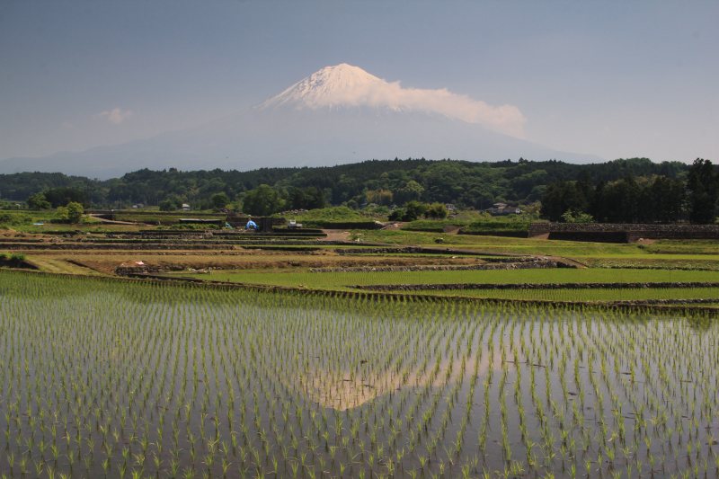 a0188405_7334549.jpg