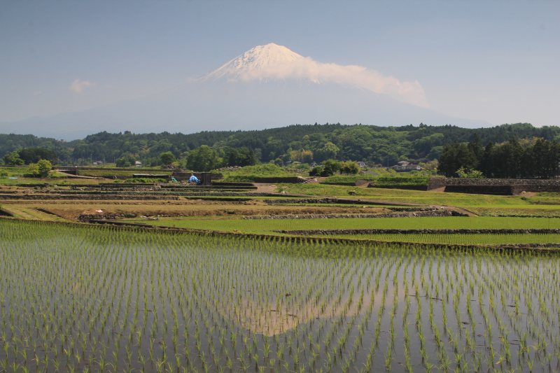 a0188405_735713.jpg