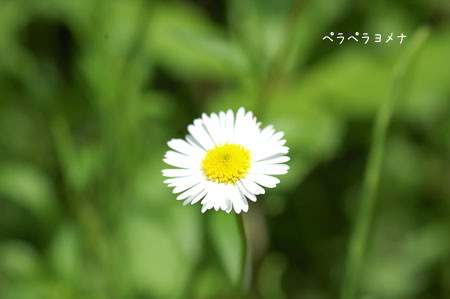 c0051105_022455.jpg