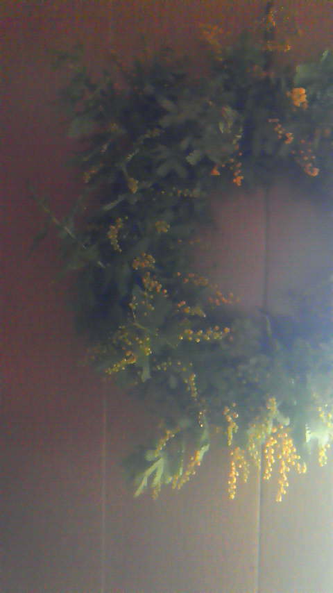d0165505_22191271.jpg