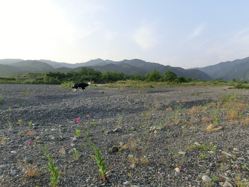 b0239909_031354.jpg